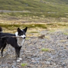 islande_026