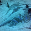 thailande_011