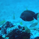 thailande_020