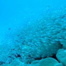 thailande_021