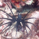 thailande_026