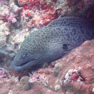 thailande_027