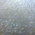 thailande_028