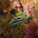thailande_041