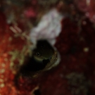 thailande_042