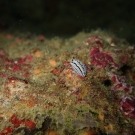 thailande_053