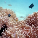 thailande_057