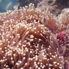 thailande_058