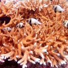 thailande_060