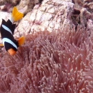 thailande_066