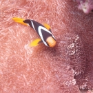 thailande_067