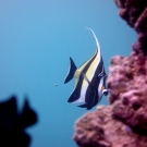 thailande_068
