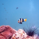 thailande_069
