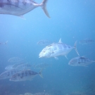 thailande_070