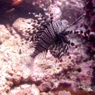 thailande_071