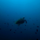 thailande_072