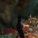 thailande_079