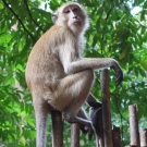 thailande_082