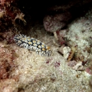 thailande_089