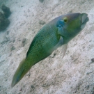 thailande_090
