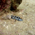 thailande_092