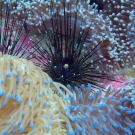 thailande_099