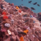 thailande_104
